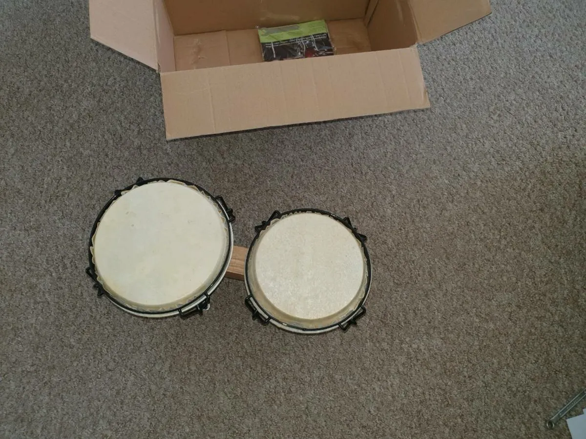 Bongo - Image 2