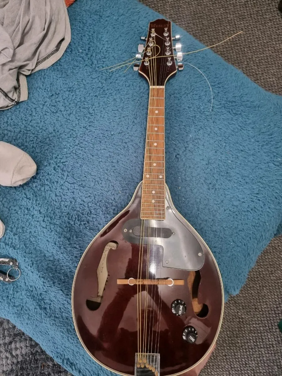 For sale wesley mandolin - Image 1
