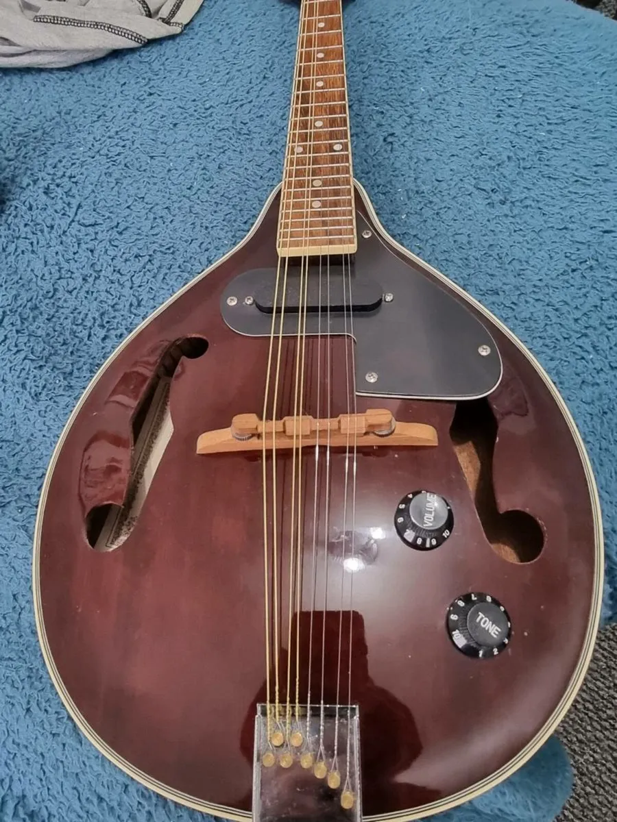 For sale wesley mandolin - Image 2
