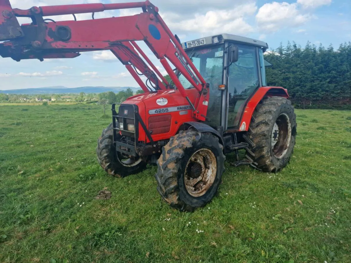 MF Tractor 4255 - Image 2