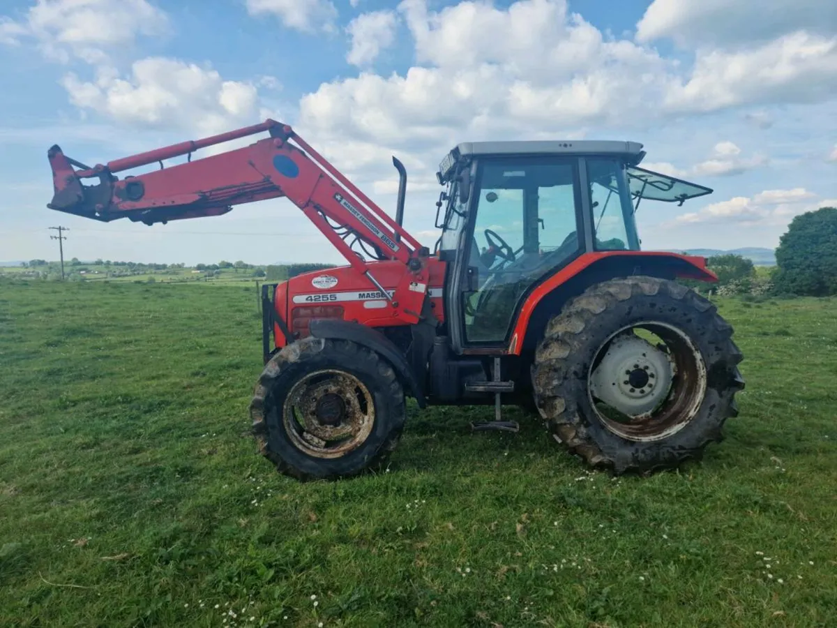 MF Tractor 4255 - Image 3
