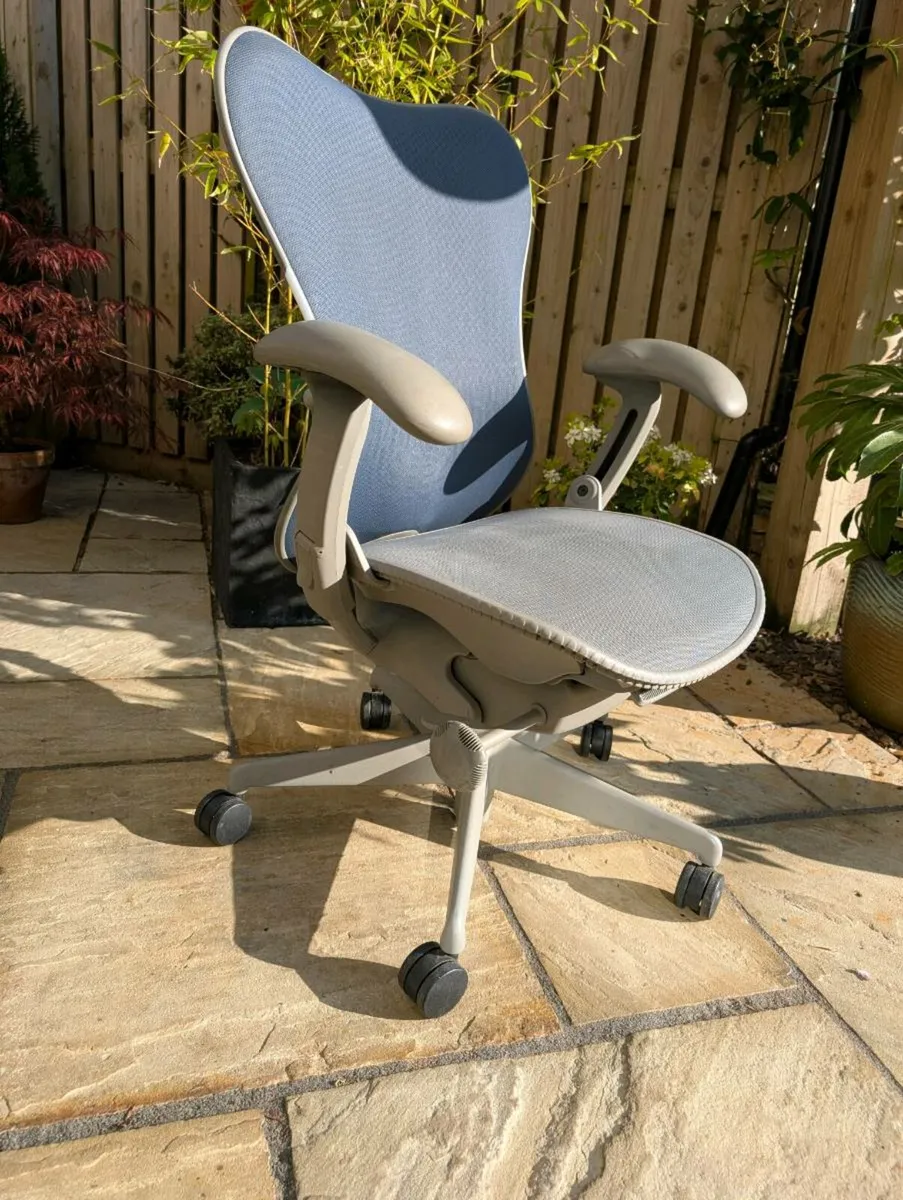 Ergonomic office chair - Image 1