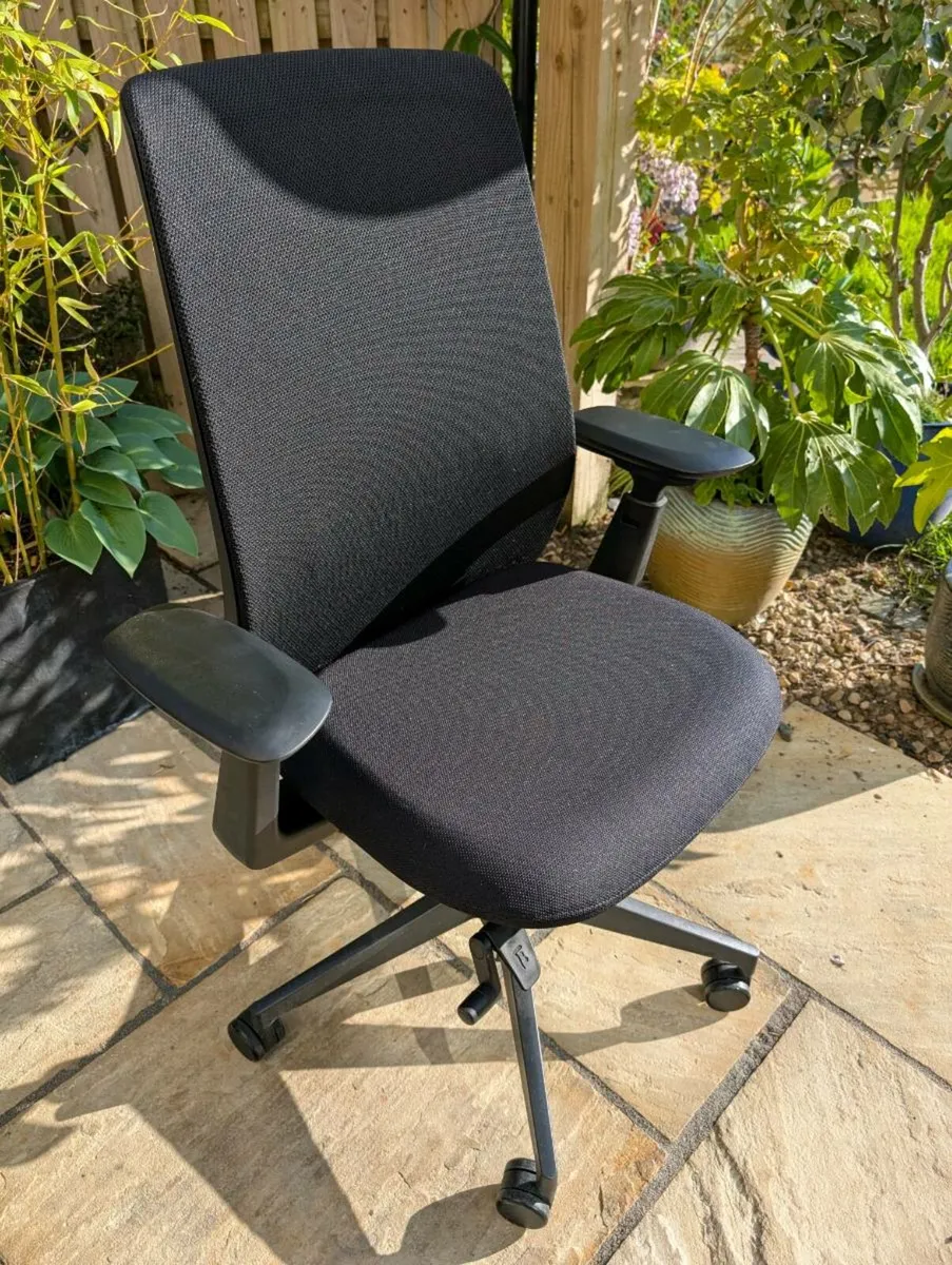Ergonomic office chair - Image 1