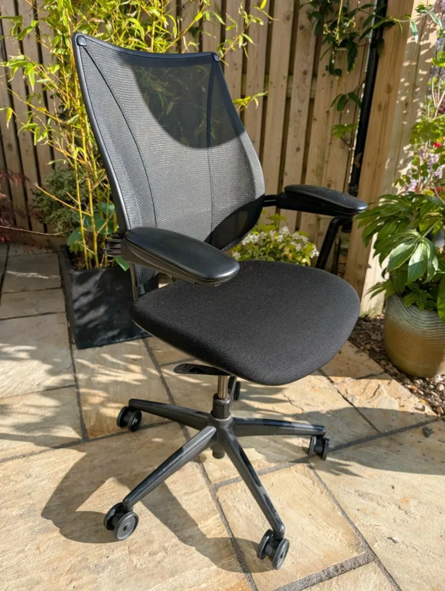 Ergonomic office chair - Image 1