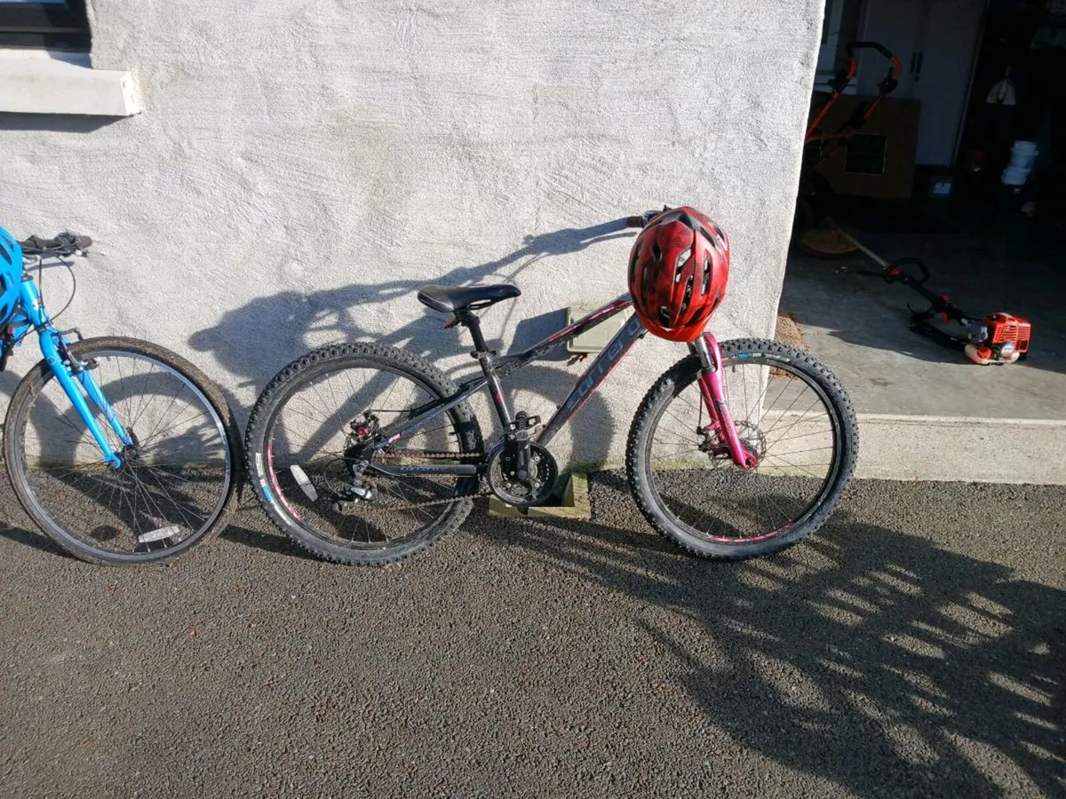 Bikes - Image 1