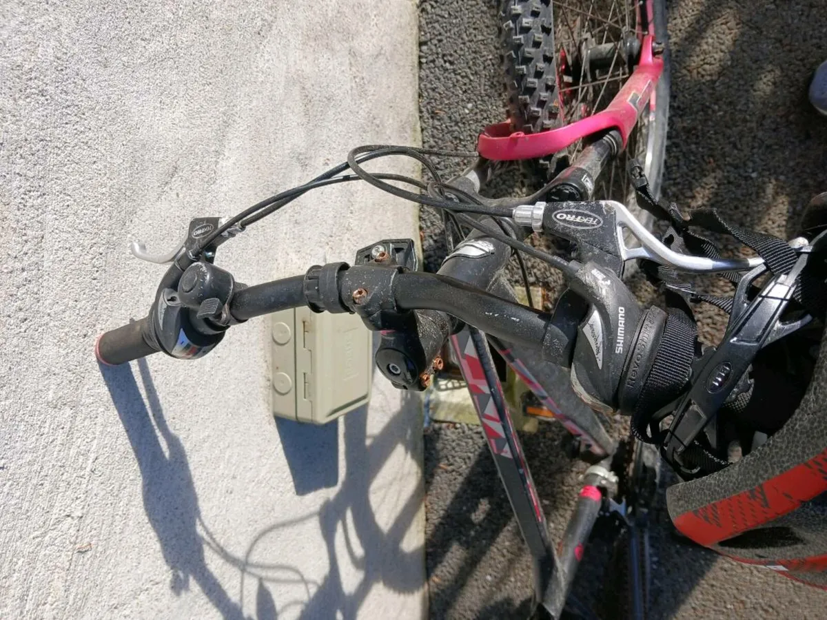 Bikes - Image 4