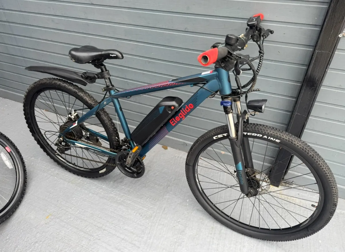 Electric Mountain Bike