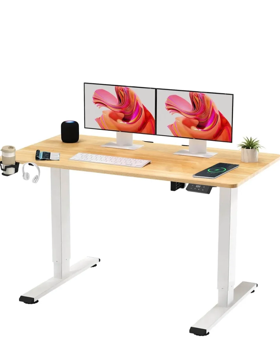 110 x 60 Electric Standing Desk ONE PIECE - Image 2