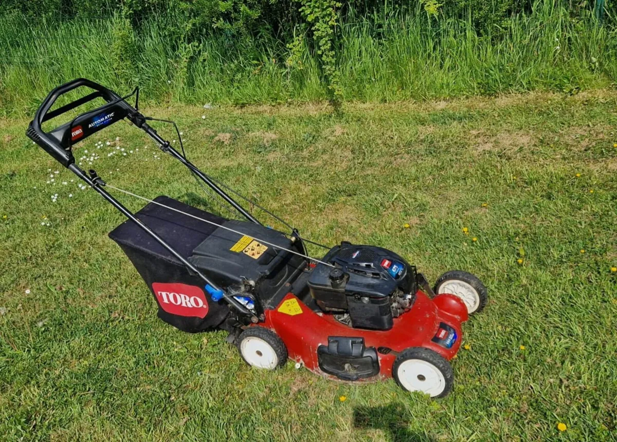 Lawnmower - Image 1