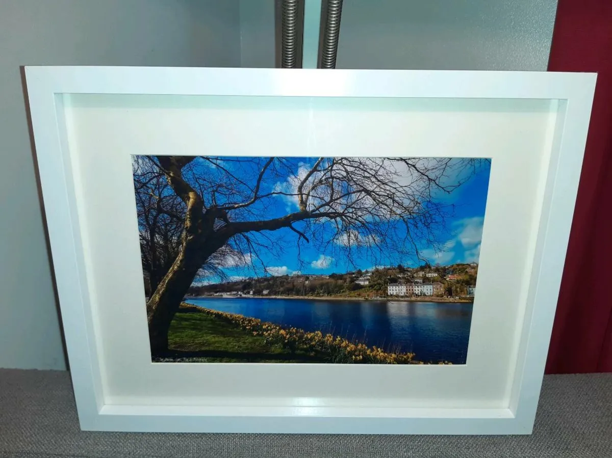 The Marina, Cork - Image 1