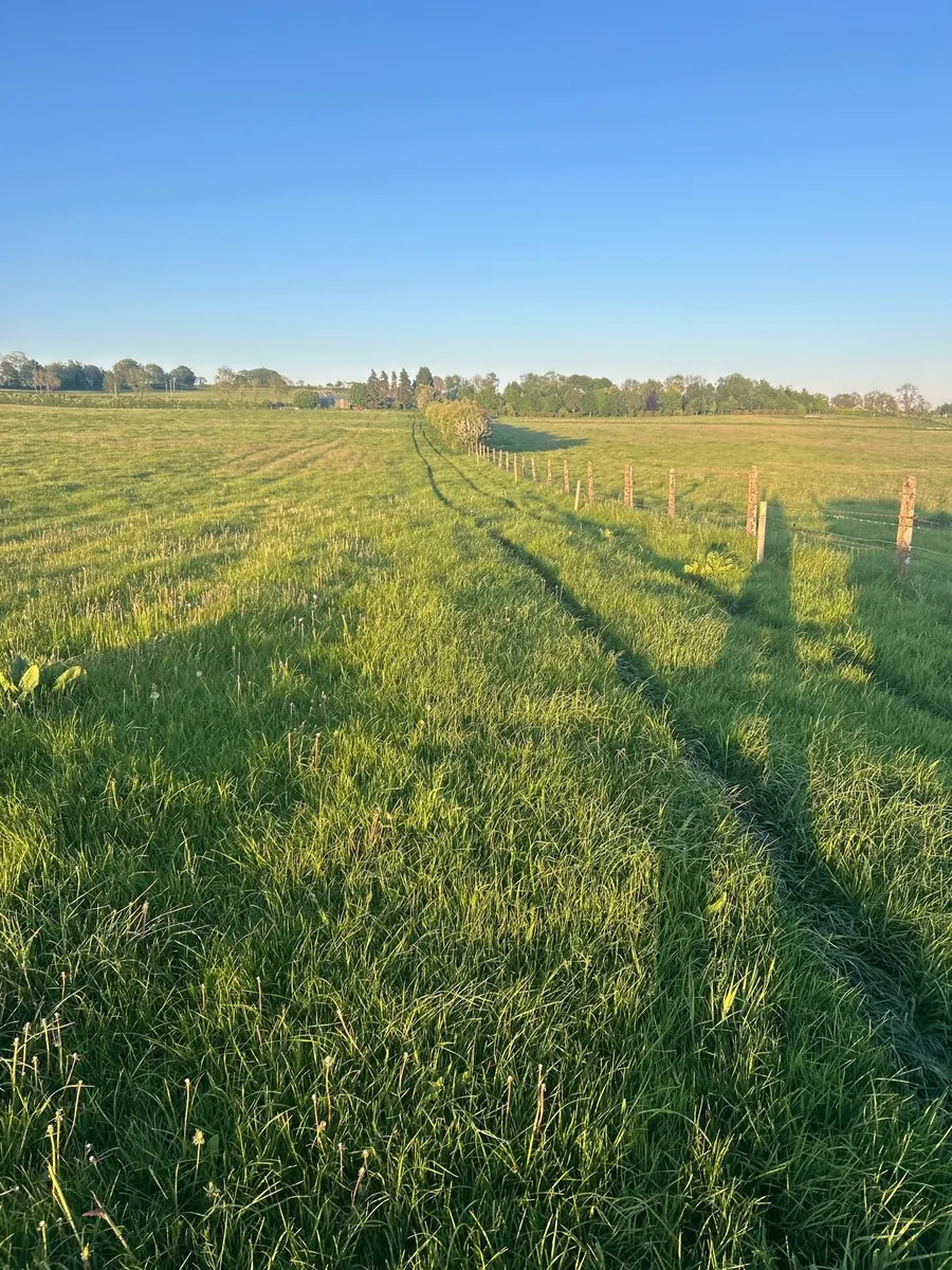 Silage ground - Image 1