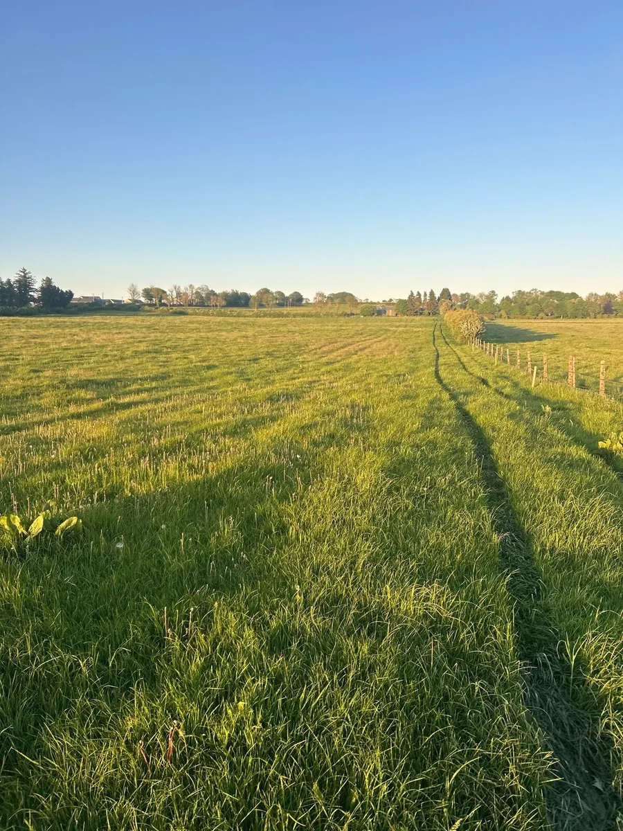 Silage ground - Image 2