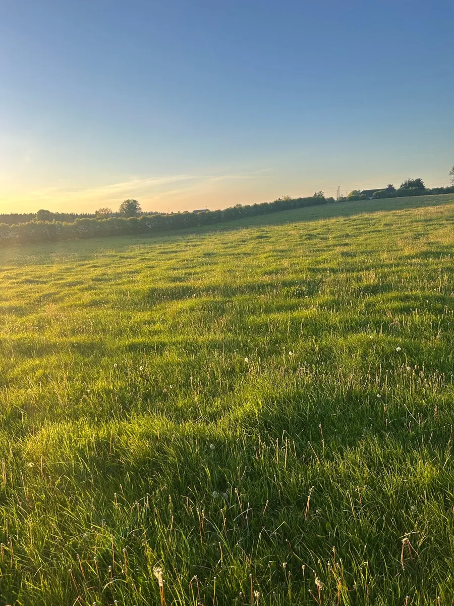 Silage ground - Image 3
