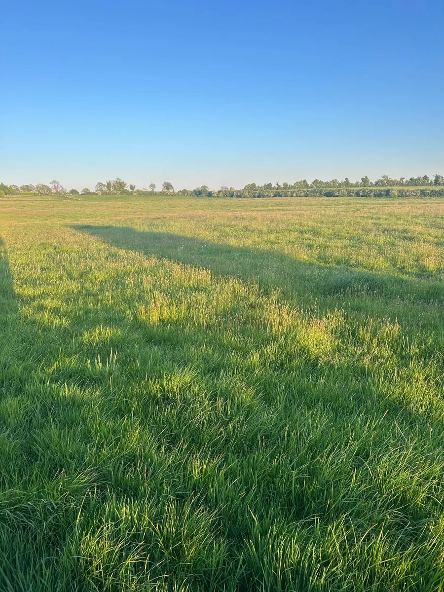 Silage ground - Image 4