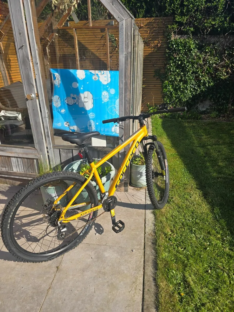 Mountain Bike - Image 2