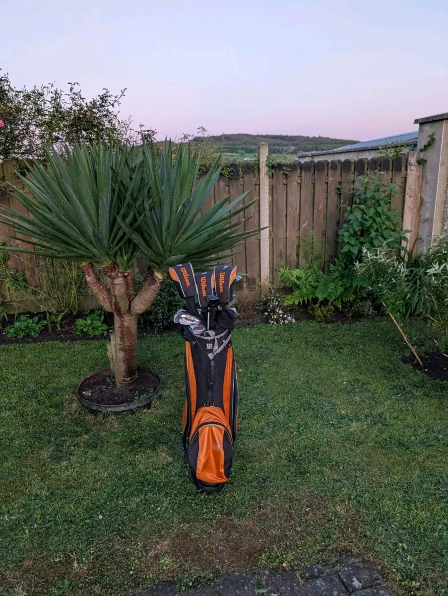 Wilson Golf clubs set up - Image 2
