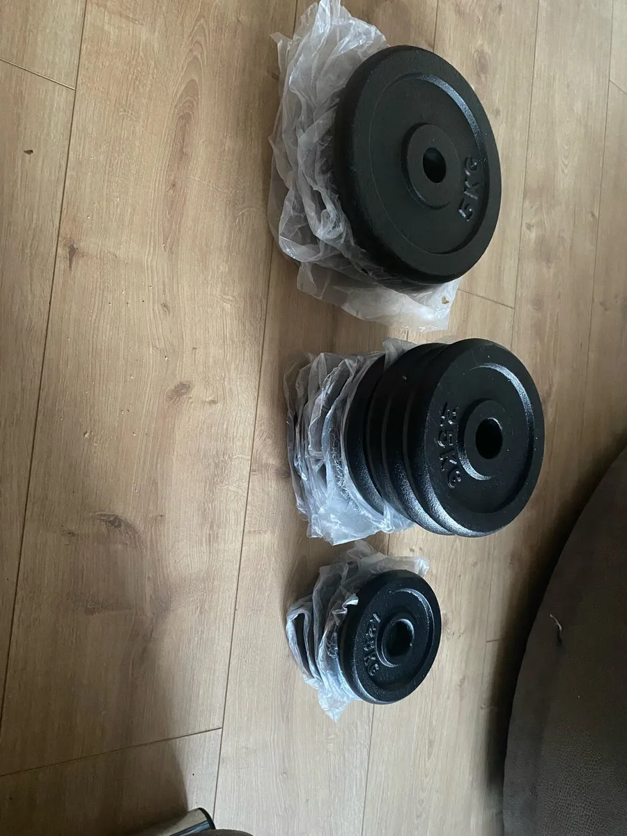 Gym Dumbbell and Weight Plates - Image 1