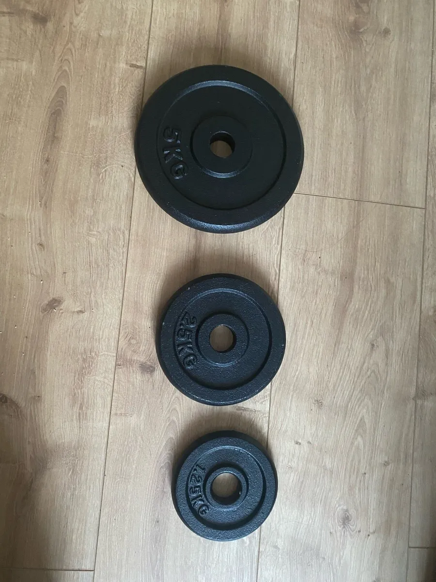 Gym Dumbbell and Weight Plates - Image 3