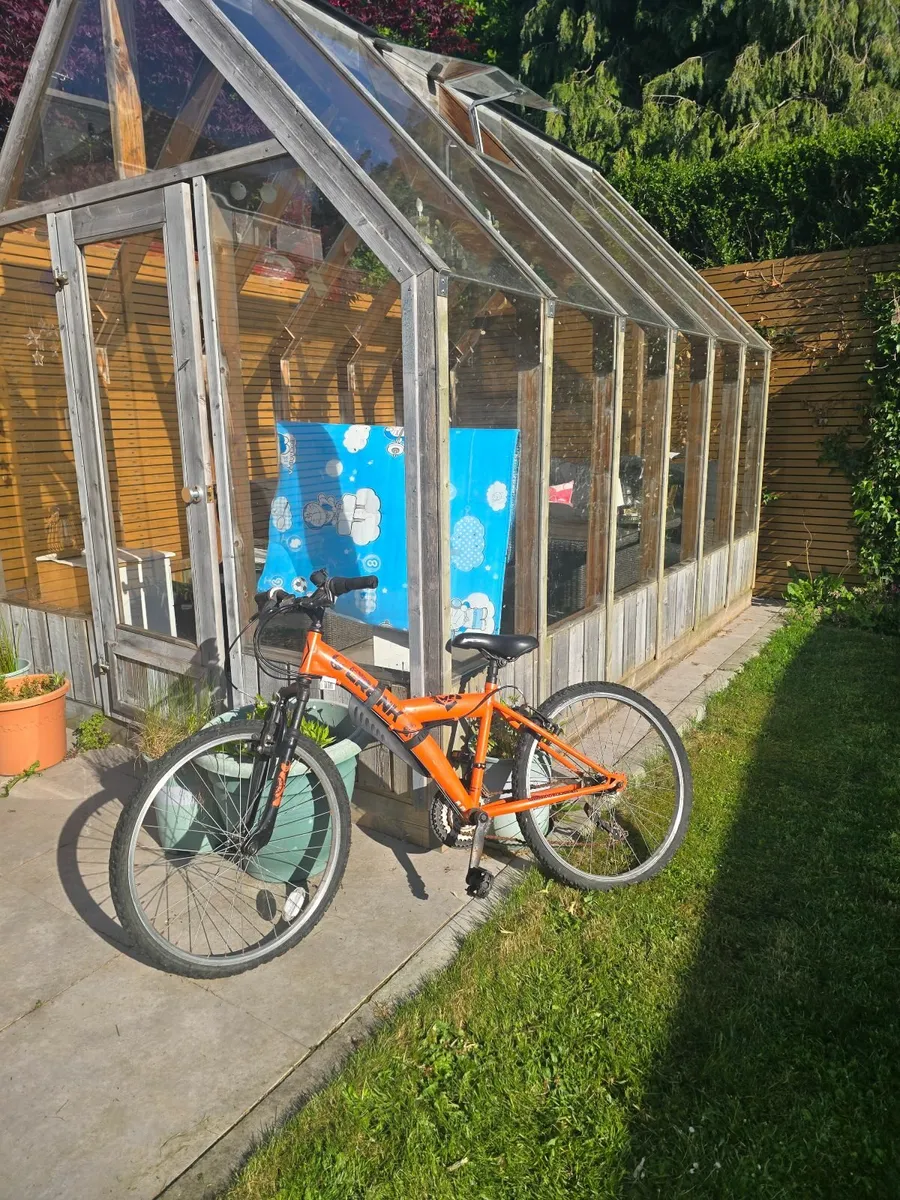 mountain bike - Image 1