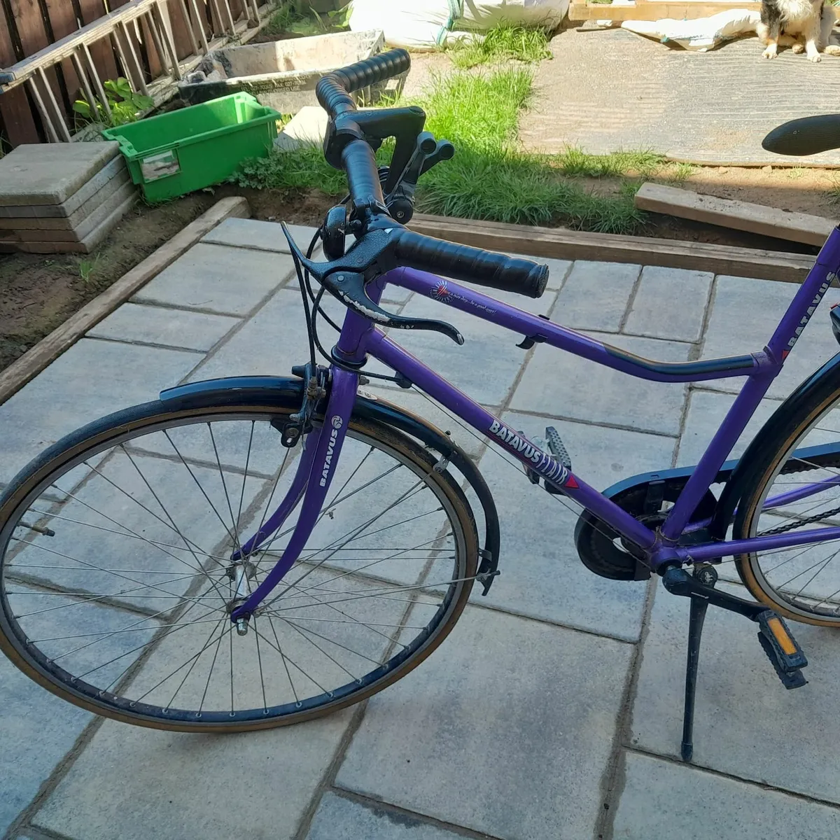Ladies mountain bike - Image 2