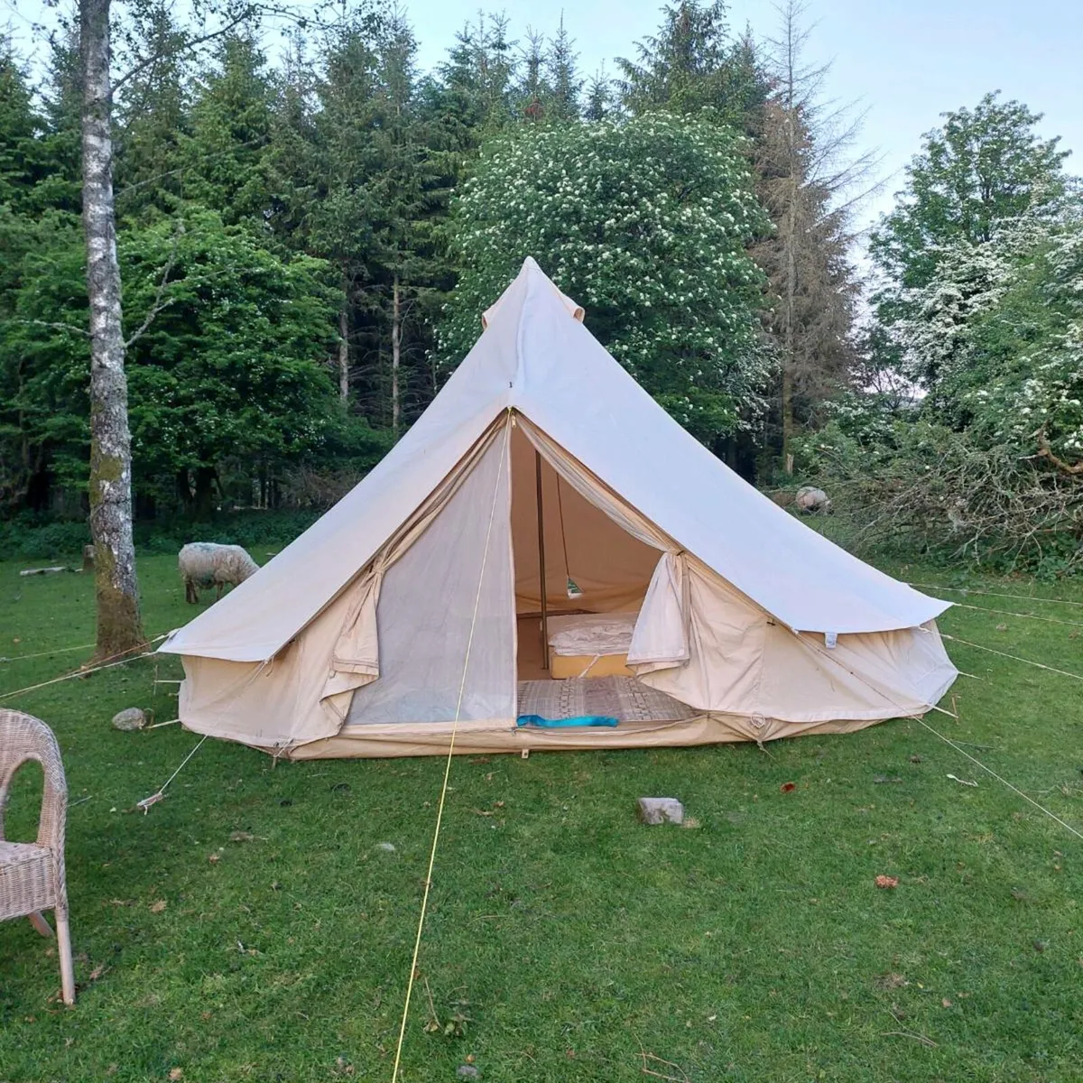 5 metre  canvas belltent - Image 1