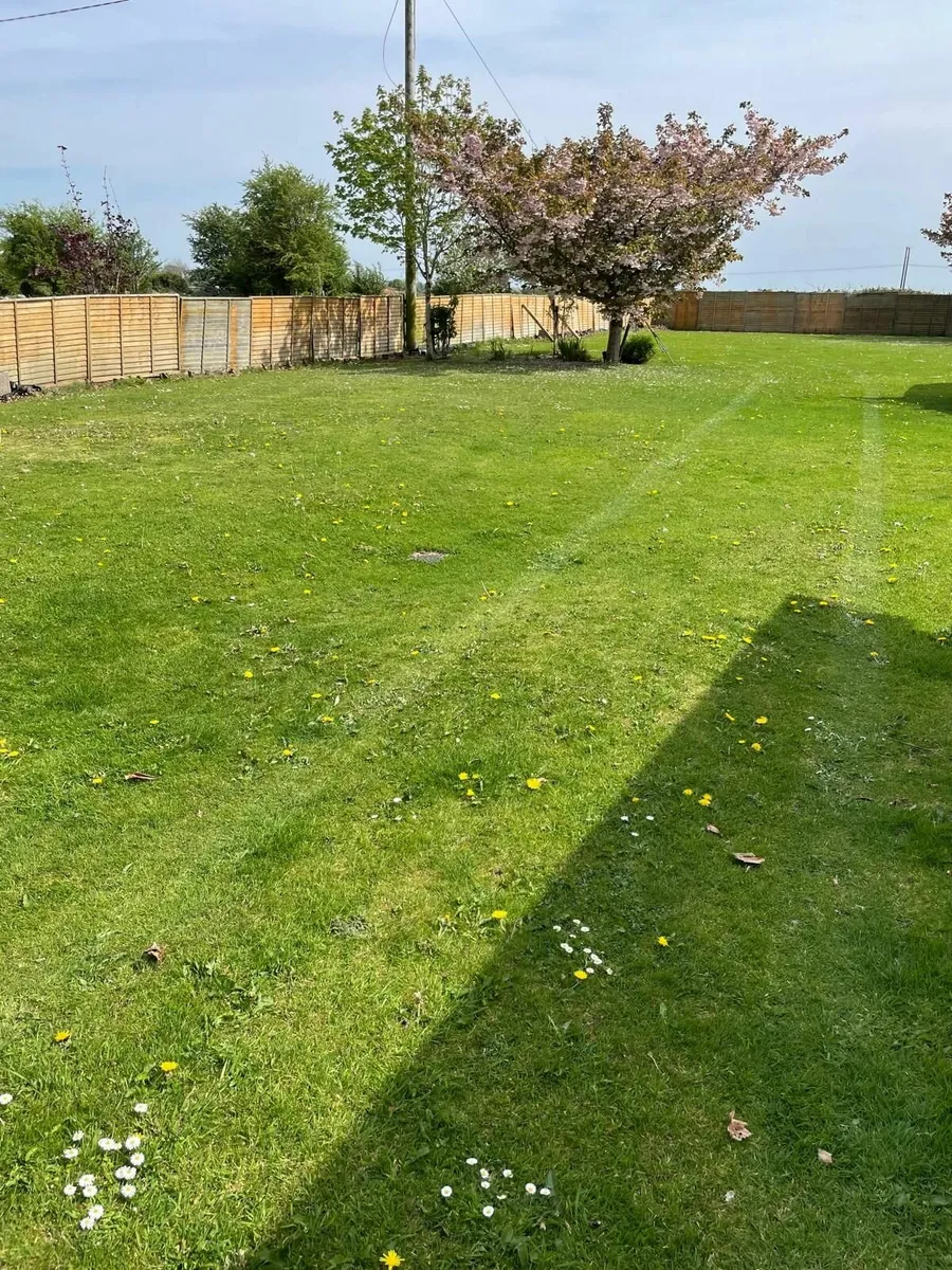 Fence Panels - Image 1