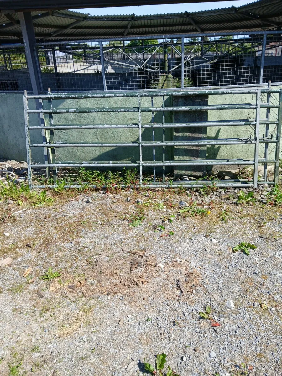 3 x 10ft steel gates for sale