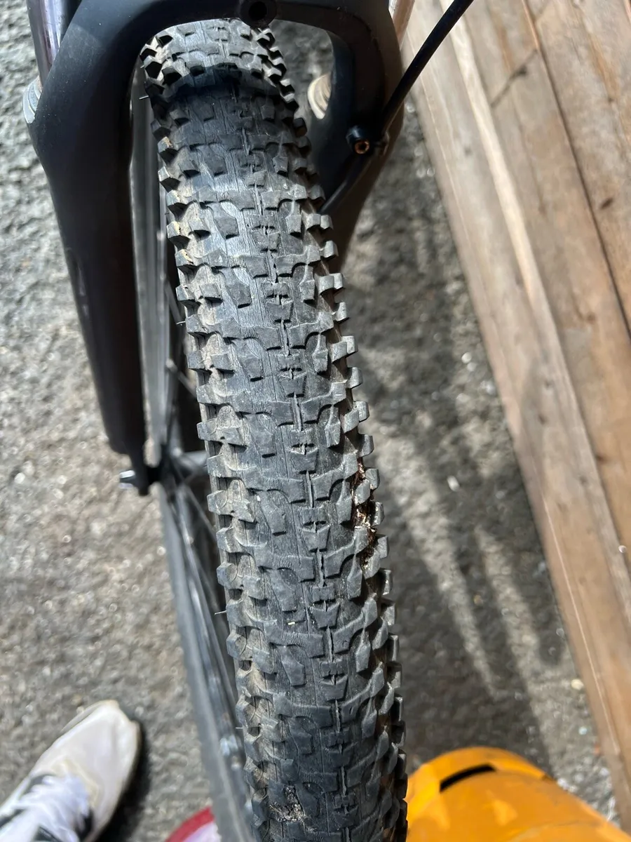 Bicycle - Image 4