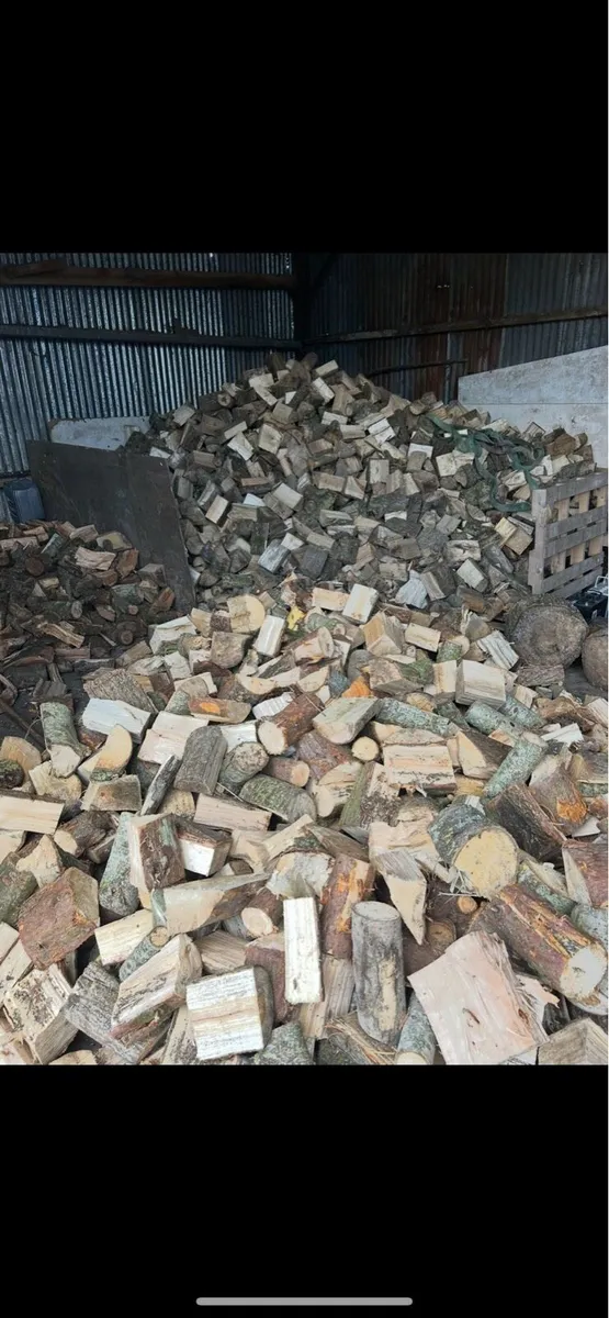 Firewood - Image 2