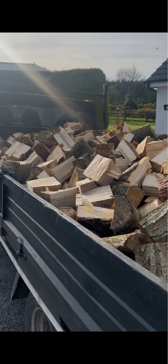 Firewood - Image 4