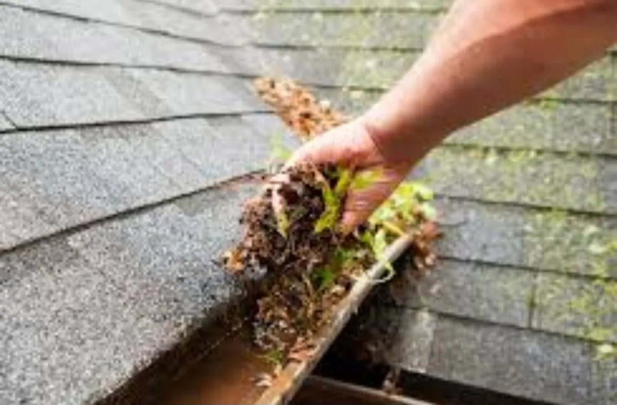 Cleaning old gutters and downpipes - Image 1