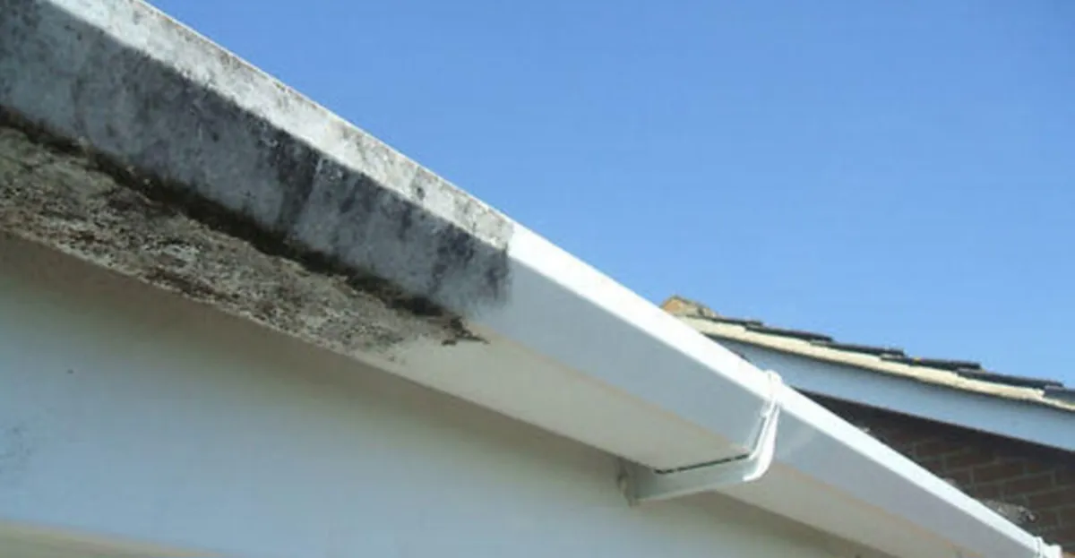 Cleaning old gutters and downpipes - Image 2