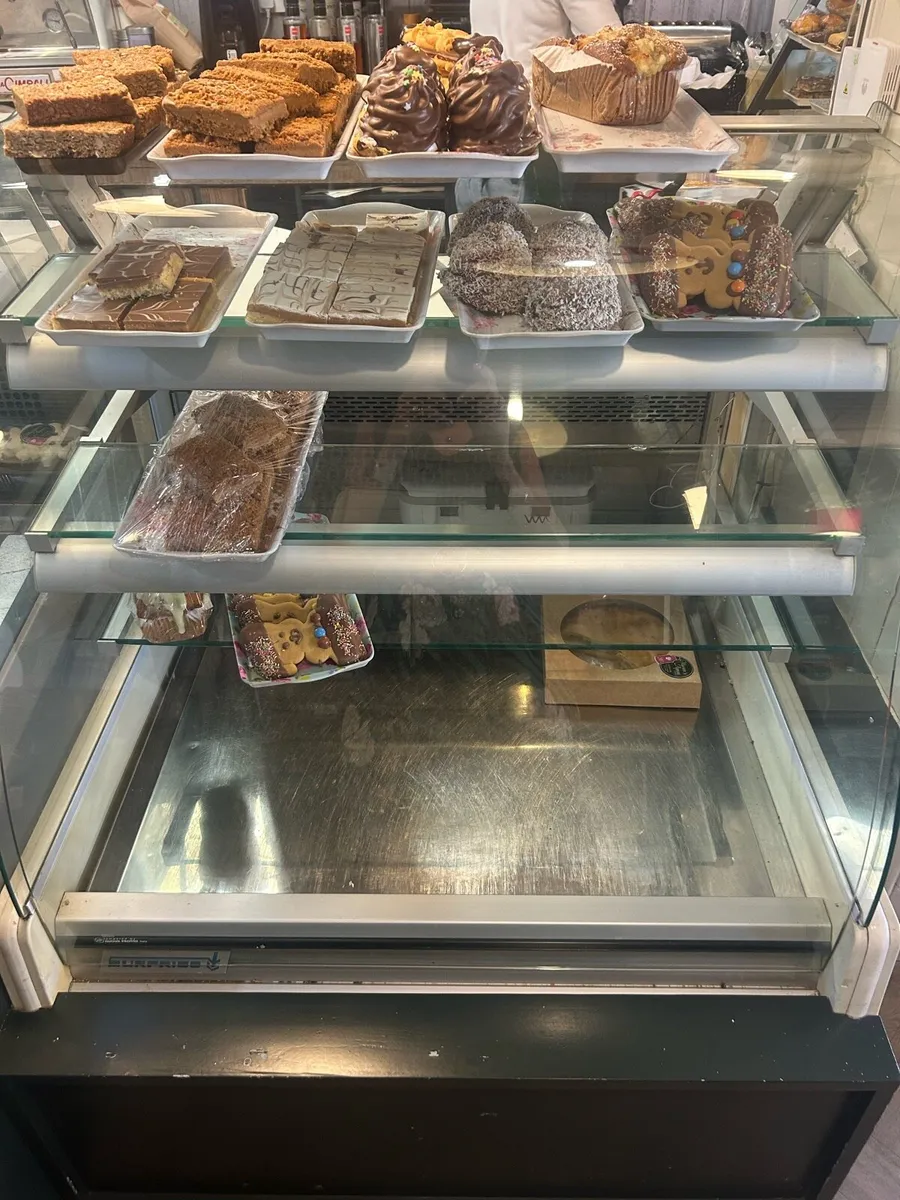 Food display fridge