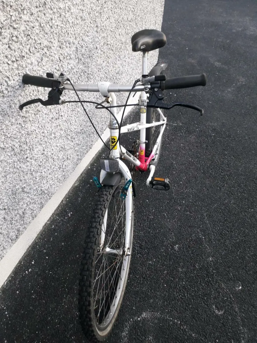 Adult bike - Image 3
