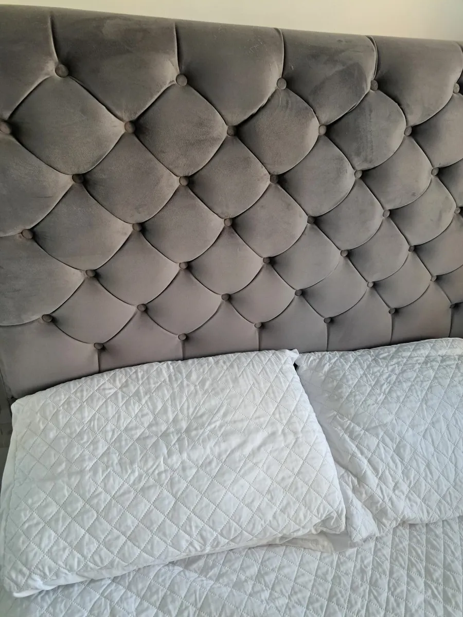 Double velvet bed - Image 1