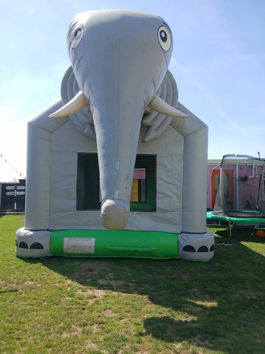 Bouncing castle - Image 2