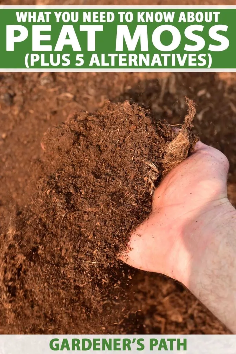 Top quality brown bedding peat moss for sale - Image 1
