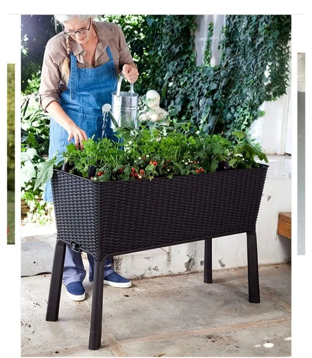 raised grow box - Image 2