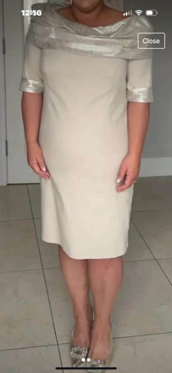 Ladies Occasion Dress Nude/Gold - Image 1