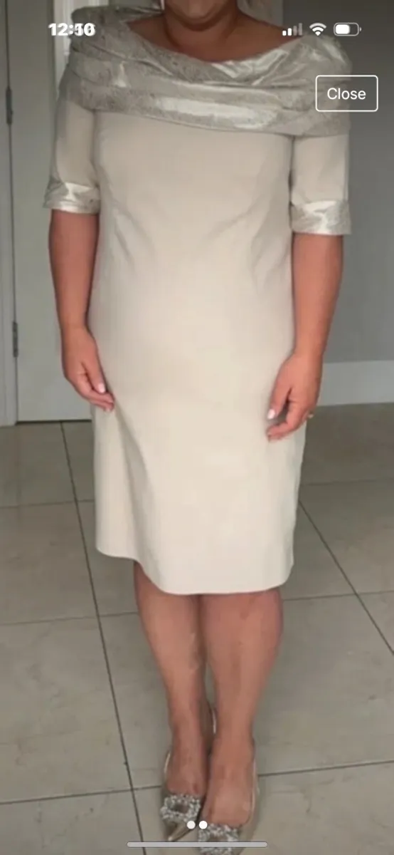 Ladies Occasion Dress Nude/Gold - Image 2