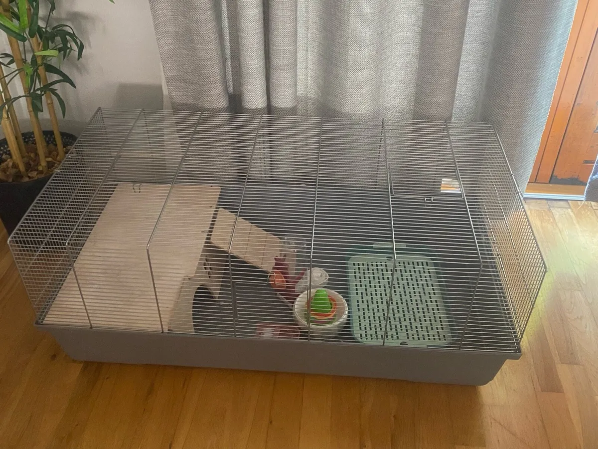Rabbit cage - Image 2