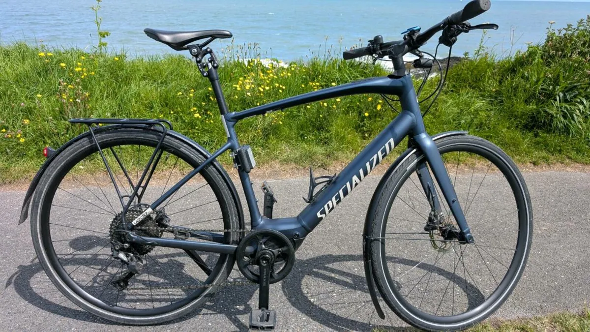 Electric Bike - Image 3