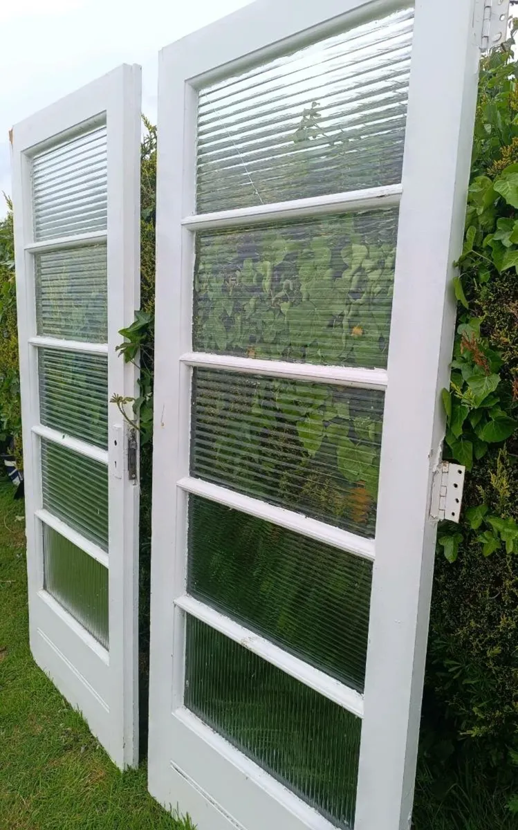 Doors - Image 4