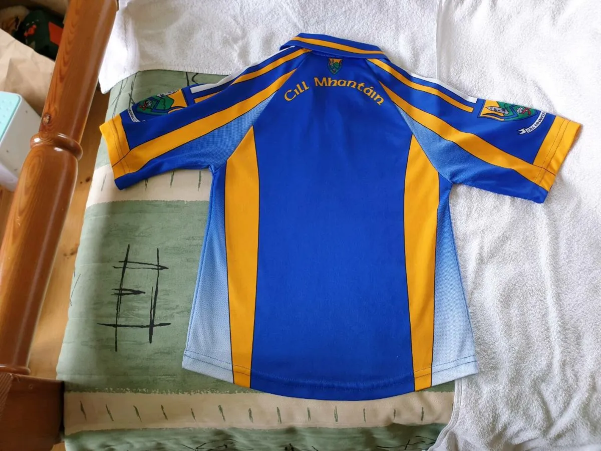Wicklow Gaelic Football Home Jersey 2007 to 2009 - Image 3