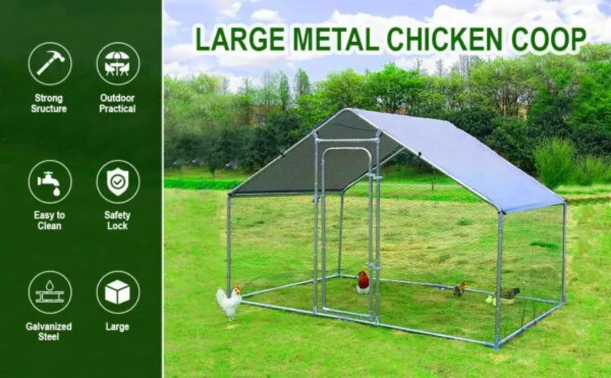 Hen Run With a Free Cover – 3M x 2M x 2M - Image 3