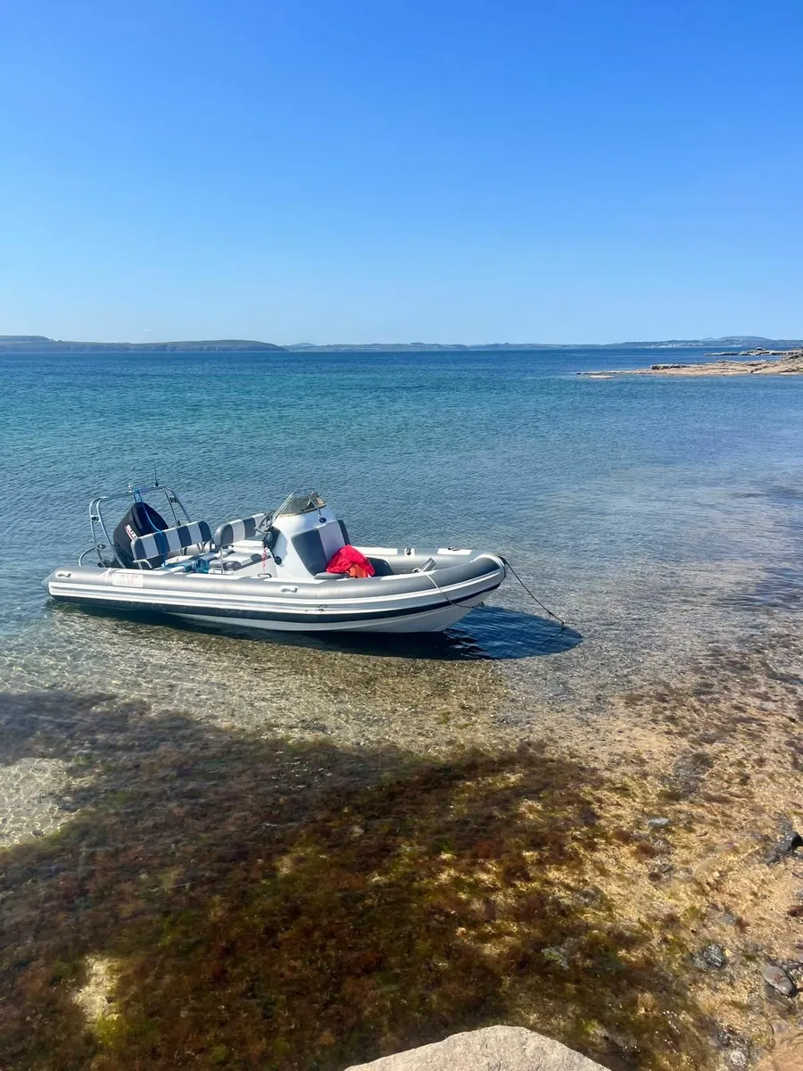 Rib-X 650 For Sale - Image 3