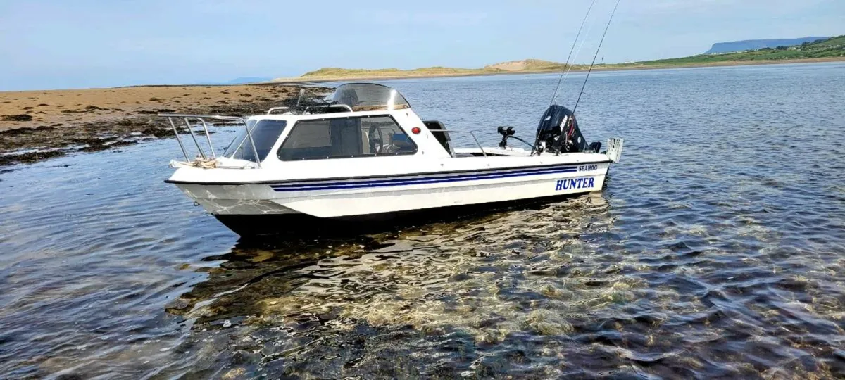 Seahog hunter 15.5ft envinrude 50hp full package - Image 1