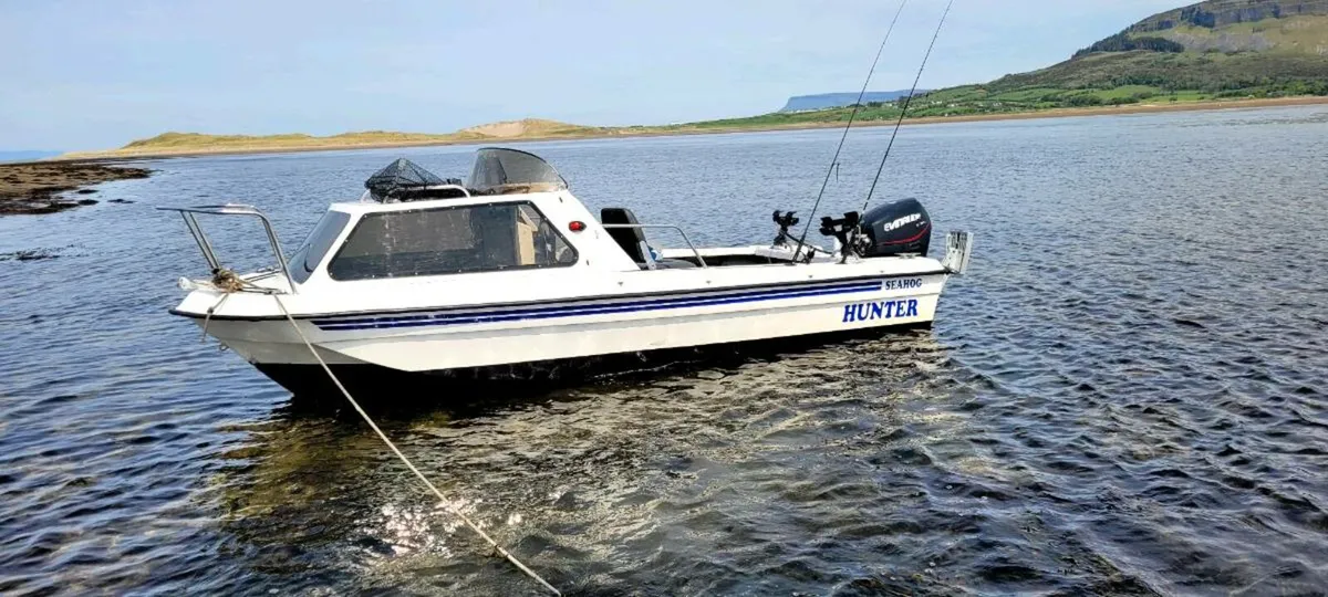 Seahog hunter 15.5ft envinrude 50hp full package - Image 2