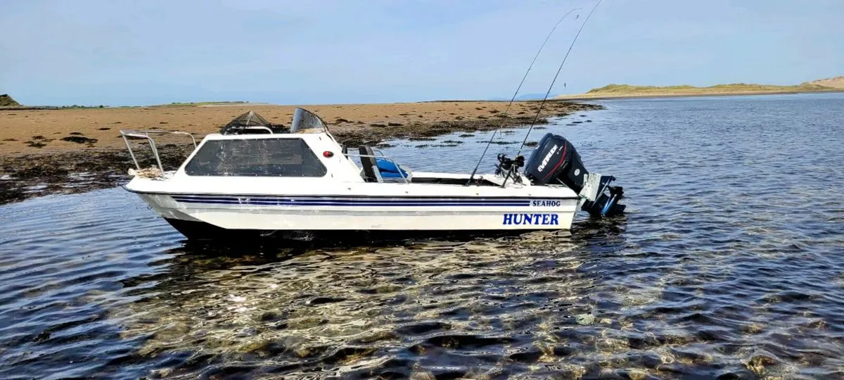 Seahog hunter 15.5ft envinrude 50hp full package - Image 3