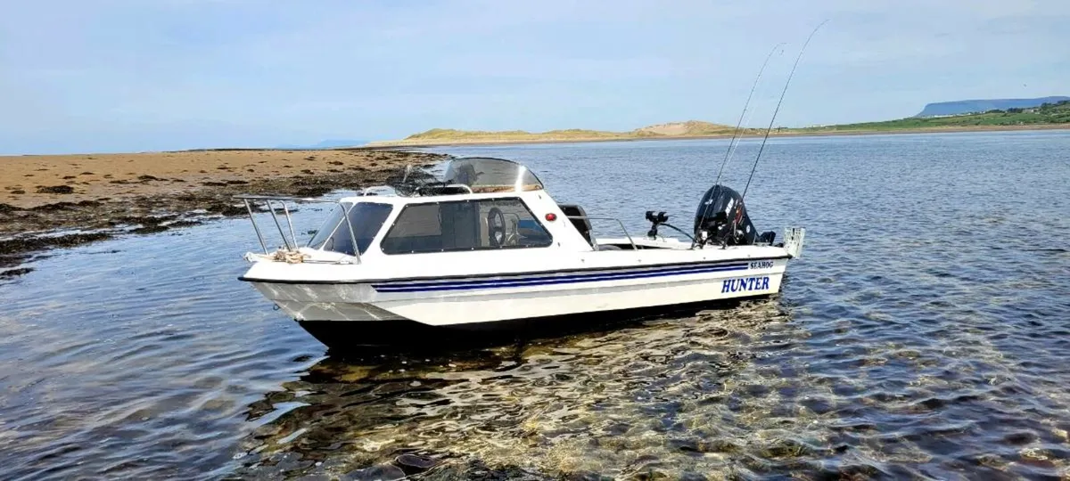 Seahog hunter 15.5ft envinrude 50hp full package - Image 4